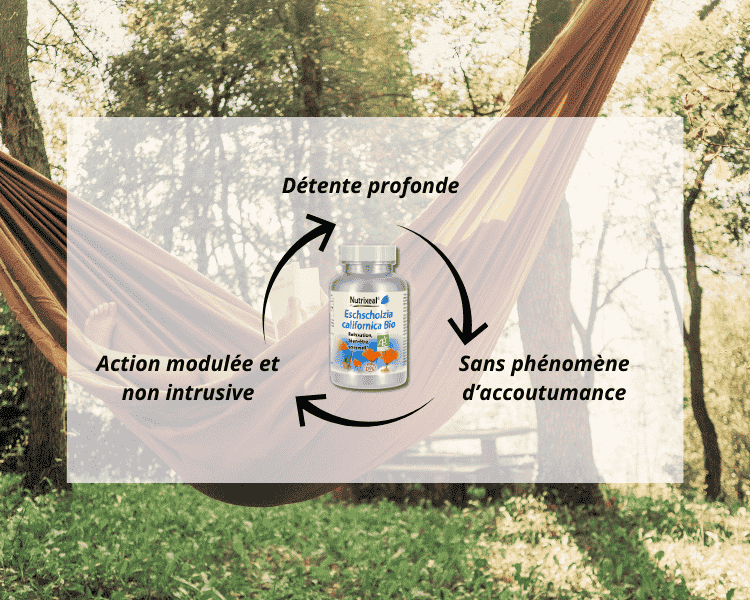 Extrait d'Eschscholzia californica BIO* standardisé à 0,5% d’alcaloïdes.